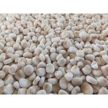 [GAP인증] 국산 거피 찰옥수수알 [22년산] 1kg 강원도 영월 깐옥수수 깐찰옥수수 옥수수범벅 수 거피찰옥수수 타갠 껍질벗긴 뻥튀기 강냉이 찰옥수수쌀, 1kg(뻥튀기용찰옥수수, 안 벗긴거), 1개