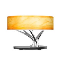 무선충전기 블루투스 스피커 야간등 다기능 휴대폰 오디오 침대 LED 단스탠드, T02-업스타일 광운 스탠드, C04-3W 미국 규정 애널플러그