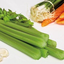 FRESH 새벽에 수확한 국내산 유기농 무농약 케일 신선초 샐러리 생 파슬리, 친환경 샐러리 1kg, 1박스