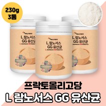 LGG유산균 l. 람노서스 gg 유산균 분말 가루 락토바실러스 락터바실러스 락투 낙토 랍토바실러스 남노서스지지 람노세스 람노서스쥐쥐 람누서스 프락토올리고당 프리 프로바이오틱스, L람노서스GG유산균 3통