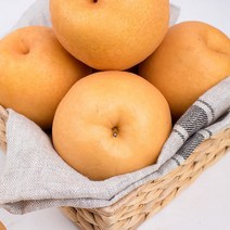[산지직송] 나주배 가정용 선물용 3kg 5kg 15kg, 나주배 5kg : 대과(5~9과), 1개
