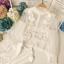 레이스 나비 슬리브 빈티지 꽃무늬 자수 롱 원피스 드레스 여자 A라인 메쉬 파티 여름 198157