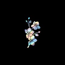 자동차포인트 00841 벗나무가지 튜닝스티커, XL, 블랙