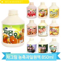 대용량 카페재료 850ml 자몽 오렌지 에이드 스무디 만들기 음료베이스 원액, 살구 (W0B7C72)