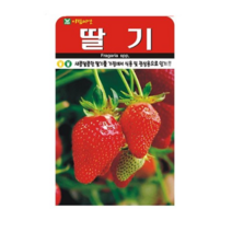 딸기 씨앗, 4개
