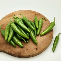 국내산 모닝고추 아삭이고추 오이맛고추 (특) 1kg 3kg 5kg 10kg [노블프레쉬], 모닝고추(특) 1kg