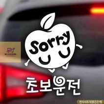 초보운전_사과sorry_반사시트지_자동차스티커 2B39, 상세페이지 참조