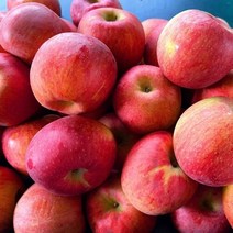 [은주네농원]가정용 흠집사과 5kg 중과(15-17과) 경북사과 의성사과