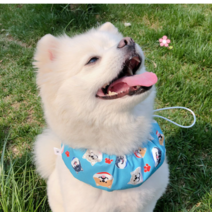 덕구마켓 반려견 반려묘 강아지 고양이 여름 쿨스카프 쿨리본 쿨목도리 목수건 소형견 대형견, L, 블루
