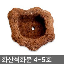 화산석화분 4~5호 (천연화산석 자연석화분 석부작 수족관 다육이화분 돌화분 천연석화분), 화산석화분 4호, 화산석화분 4호