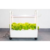식물재배기 수경 재배기 가정용 실내 스마트팜 채소 야채 재배 상추 키우기 1단 2단 3단 4단, 1단 (LED 형광등 추가), 1개