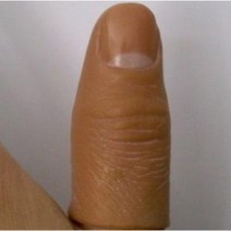 덤팁&실크 (3type), 중