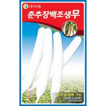 눈개승마 1g - 씨 씨앗 눈개승마씨 눈개승마씨앗 나물 나물씨앗 채소씨 채소씨앗 능개승마, 09_다농_춘추장백조생무(10g)