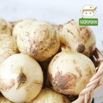 삼촌밥먹자 [삼촌농장] 단단한 전남 무안 햇 양파(소) 3kg 5kg 10kg