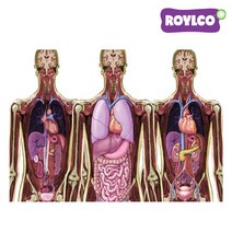 로이코 MRI 스캔 내몸을 비춰봐 NO.R59254