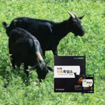 흙염소진액 갱년기여성에게좋은 50대여자보양식 70ml x 30포