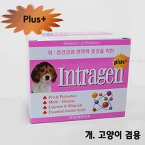 건강-드림_인트라젠 플러스(plus+) 스틱 (2gx30p) 고양이영양제 애견 소형 개영양제 용유산균 치와와 강아지종합 장건강 완용_rjsrkdemf, 조은상품!!!!!, 옵션선택사항없습니다, 옵션선택사항없습니다