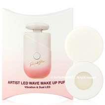 퍼펙트스킨 아티스트 엘이디 웨이브 메이크업 퍼프2ea