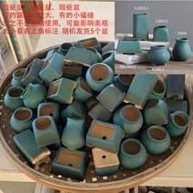 다육이 선인장 미니화분 29.98 다육 엄지손가락 말뚝 16개 통기성 대모음반 갈라진 미니 화분, 01 작다, 14 흰색
