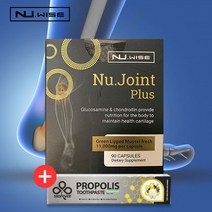 뉴와이즈 뉴 조인트 플러스 (초록입홍합 ) 90캡슐 (사은품 증정)