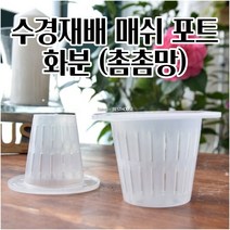 수경재배화분 난화분 매쉬 포트화분 1.5MM 촘촘망 마사토 식재