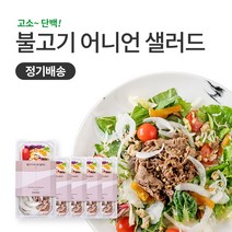 [정기배송] 슬림쿡 불고기 샐러드 1일1식(5팩) X 4주, 1주