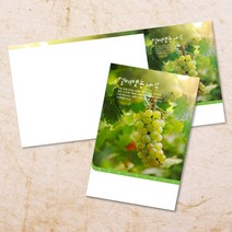 교회주보 예배 주보용지 3단6면 주보지 안내지 전도지 절기 부활절 추수감사 맥추감사 성탄절 신년감사 디자인 기독교용품, EW-03