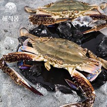 국내산 서해안 제철 꽃게 1kg 가을 활꽃게 햇꽃게 숫꽃게 급랭 봄 암꽃게 선물세트, 8. [급랭]암꽃게 중 1kg