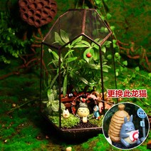 테라리움 키트 글래스 하우스 이끼테라리움 만들기 DIY 비바리움, 나무아래재미(완제품)