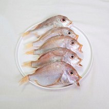 삼천포 용궁수산시장 반건조 생선 꽃돔 4~8미