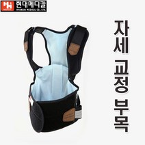 자세교정 부목 허리보호대 척추보호대 어깨보호대 조끼형 어깨교정 바른자세 튜빙밴드 허리부목 교정부목 허리벨트 병원 관공서 학교, S