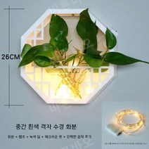 수경 화분 정화식물 화초 실내 식물 키우기 무펀칭, D