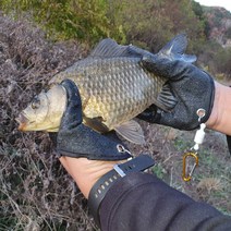 빠른발송 낚시물고기집게장갑 낚시장갑 물고기집게 뜰채 민물바다루어, 오른쪽(색상랜덤)