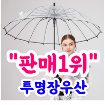 태풍에 강한 투명 장우산 가벼운 비닐 자동 살많은 튼튼한 우산