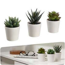 이케아 3p 인테리어 장식용 조화 페이크 식물 화분 다육이 인조 선인장 홈 데코 원예 소품 카페 매장 업소 꾸미기 감성 분위기 잡화 생활 리빙 거실 주방 욕실 FEJKA 페이카