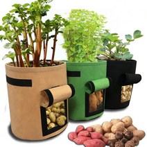 다용도 텃밭 부직포 화분 부직포화분 대형 가꾸기 그로우백 베란다 화분대형, 4allon(그린)