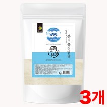 WPI 미국 산 분리 유청 단백 분말 파우더 쉐이크 유당불내증 웨이 프로틴 단백질 보충제 가루 아이솔레이트 운동 식사 전 후 왜이 에이 외이 푸로틴 당백질 whey protein, 3개, 500 g