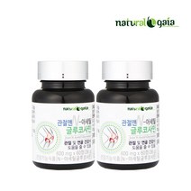관절앤N-아세틸 글루코사민 2병 관절건강 뼈건강 관절영양제