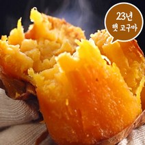 소리팜 해남 호박고구마 5kg (특상), 1개