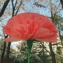 카네이션 어버이날 스승의날 선물 자이언트 대왕 대형 카네이션 만들기 DIY, 토퍼포함, 레드