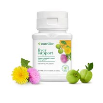 암웨이 미국 뉴트리라이트 리버 서포트 60정 밀크씨슬 실리마린 간 건강 보조식품 자연 디톡스 Amway nutrilite liver support, 60, 1개