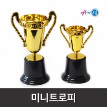 미니트로피 소/중/어린이집/유치원/여름성경학교, 중
