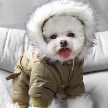 모모도퀸 스타버튼 프린팅 애견 야상점퍼, 카키
