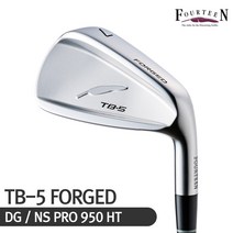 포틴 TB-5 포지드 남성 스틸아이언 6I, N.S.PRO 950HT(R)