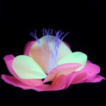 가재은신처 베타은신처 산호석 산호초 수족관 시뮬레이션 실리콘 산호 Anemone 인공 수생 식물 물고기 탱크, 02 빨간
