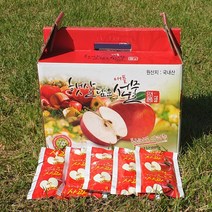 향토박이 복숭아즙 110ml 50포 무설탕 복숭아 영덕 과일즙, 빨간사과즙 2박스(100포), 1개