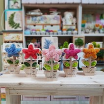 [달보드레] 스칸디아모스 헹복꽃화분 공기정화 천연가습, 레드/스프링그린