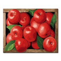DIY캔버스페인팅 명화그리기 액자 그림 세트 유화 - 정물 40x50, S65_부귀홍사과
