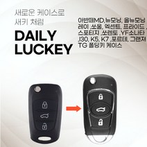 아반떼MD 뉴모닝 올뉴모닝 레이 쏘울 엑센트 프라이드 스포티지 쏘렌토 YF소나타 I30 K5 K7 포르테 그랜져TG 폴딩키 케이스
