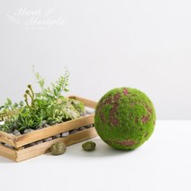 네추럴이끼볼(12x12cm)_S NA210623, 단품